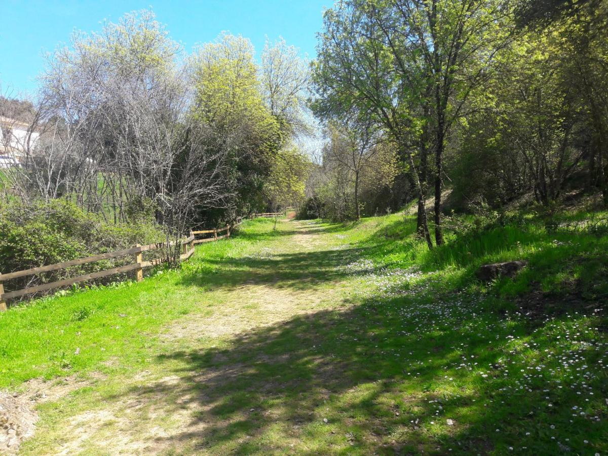 Cabanas Del Bosque Cerca De 科爾多瓦 外观 照片