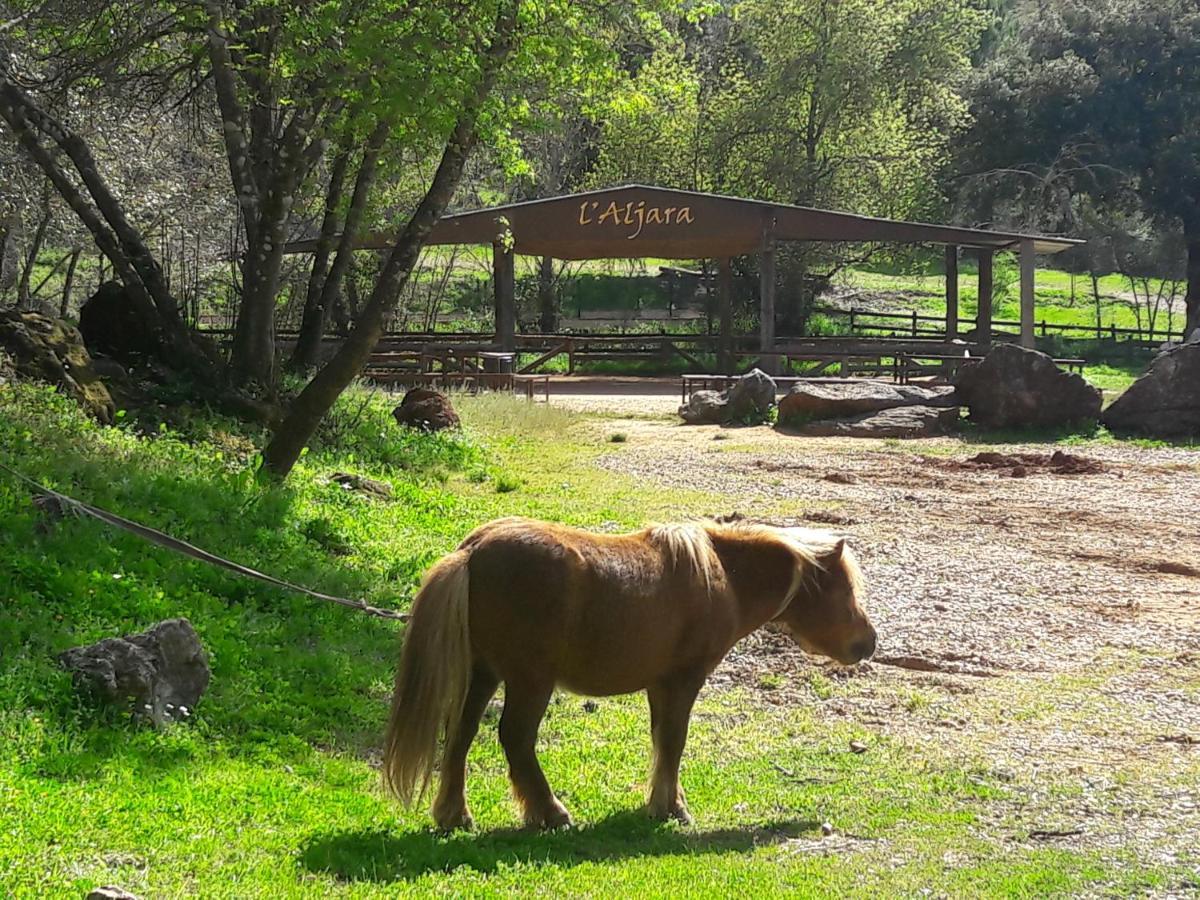 Cabanas Del Bosque Cerca De 科爾多瓦 外观 照片