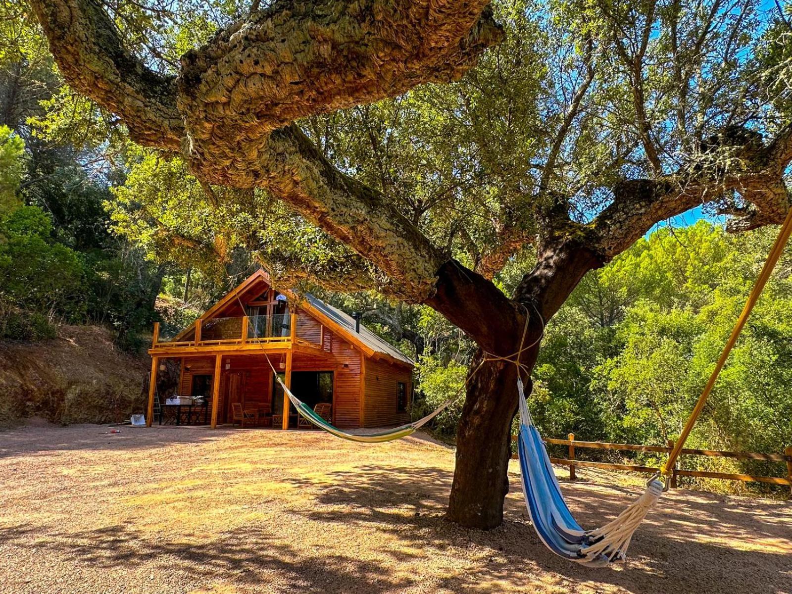 Cabanas Del Bosque Cerca De 科爾多瓦 外观 照片